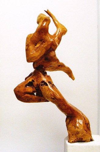 bois-1